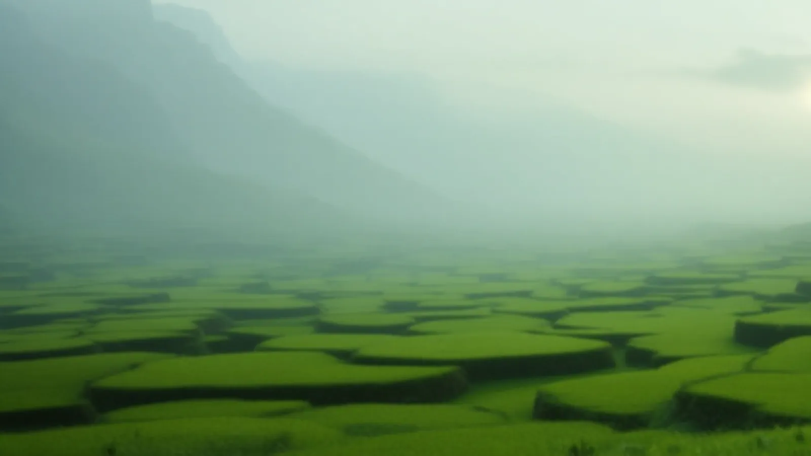 Green terraced fields in soft morning mist, the YieldBluff view of online loans with fast decisions, $100 – $5,000